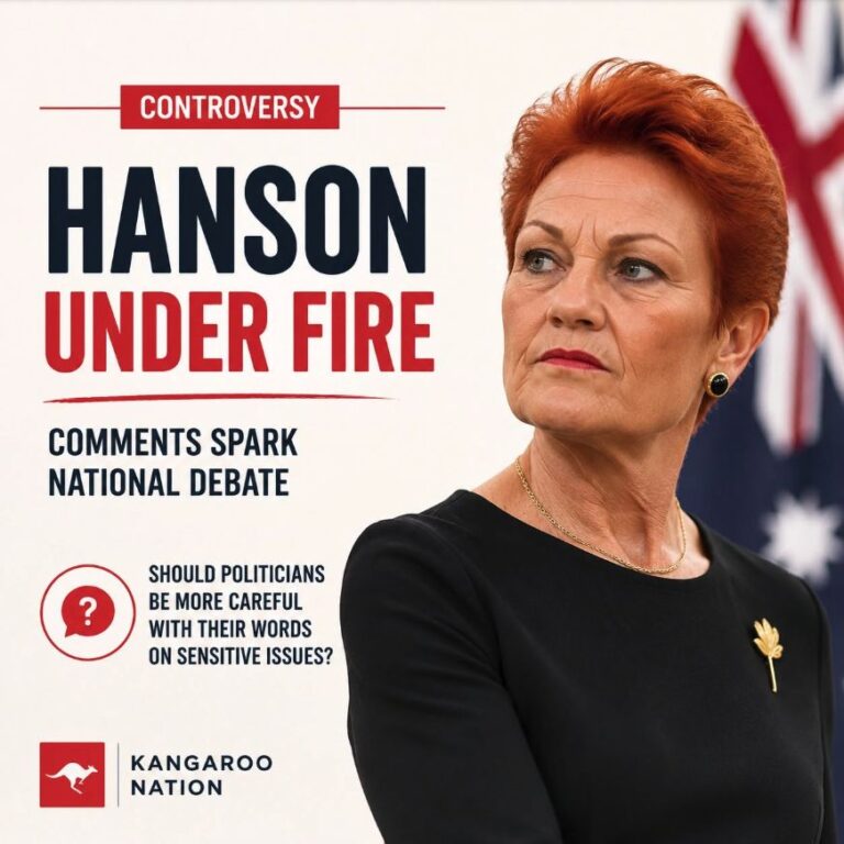 Hanson’s domestic violence remarks trigger national criticism