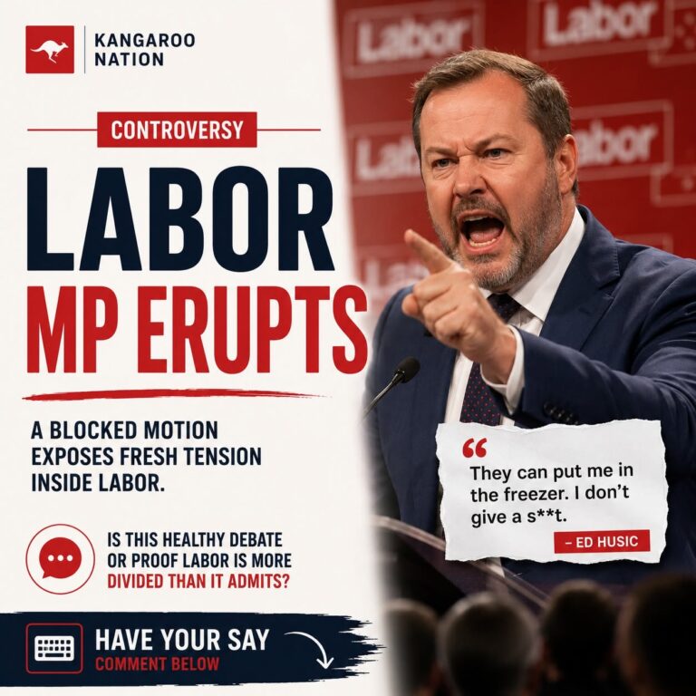 Ed Husic’s Gaza motion fails to reach Labor conference floor